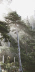 Sonnenschein durch den Nebel Poster - Posterbox.dk