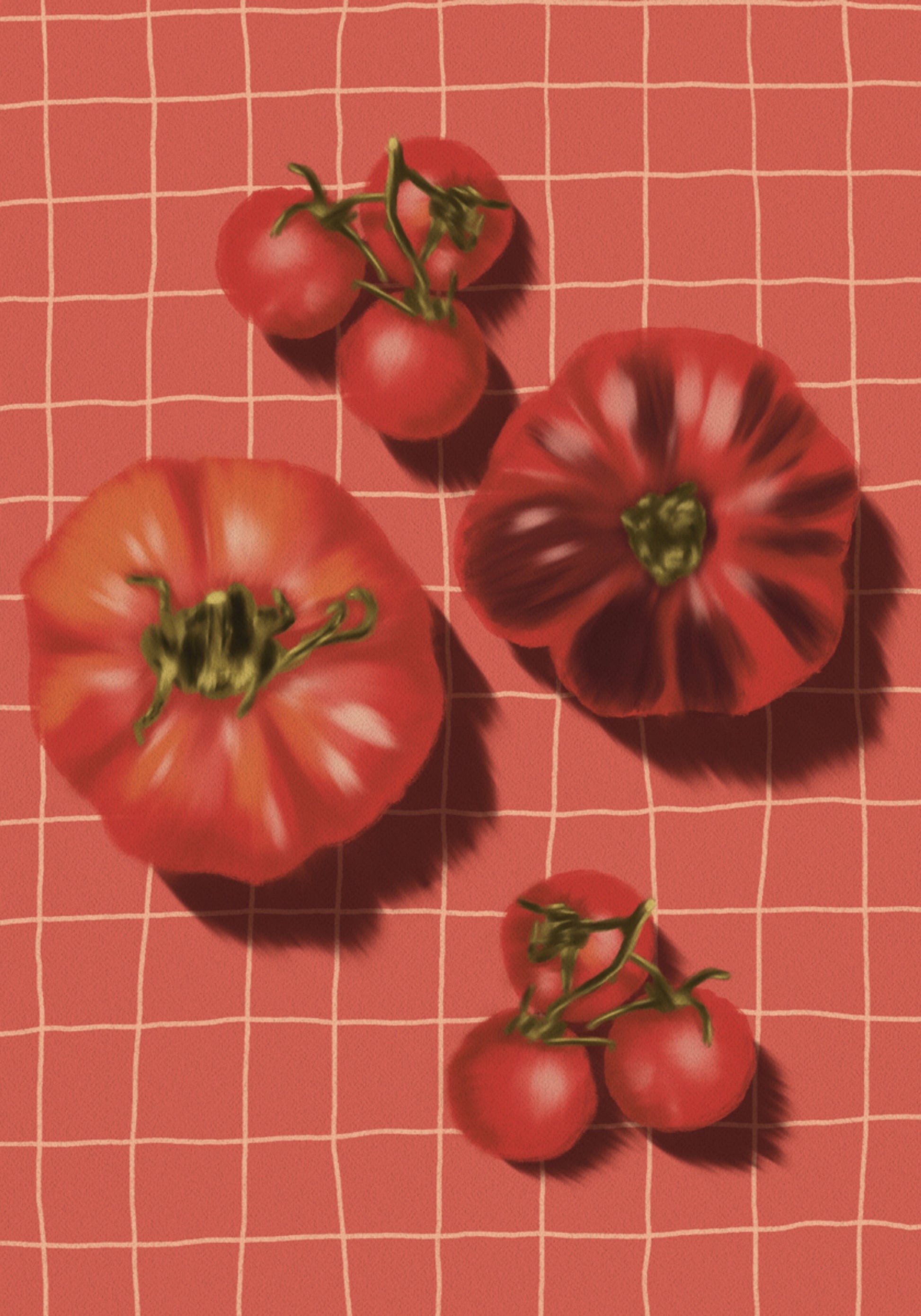 Rustikale rote Tomaten