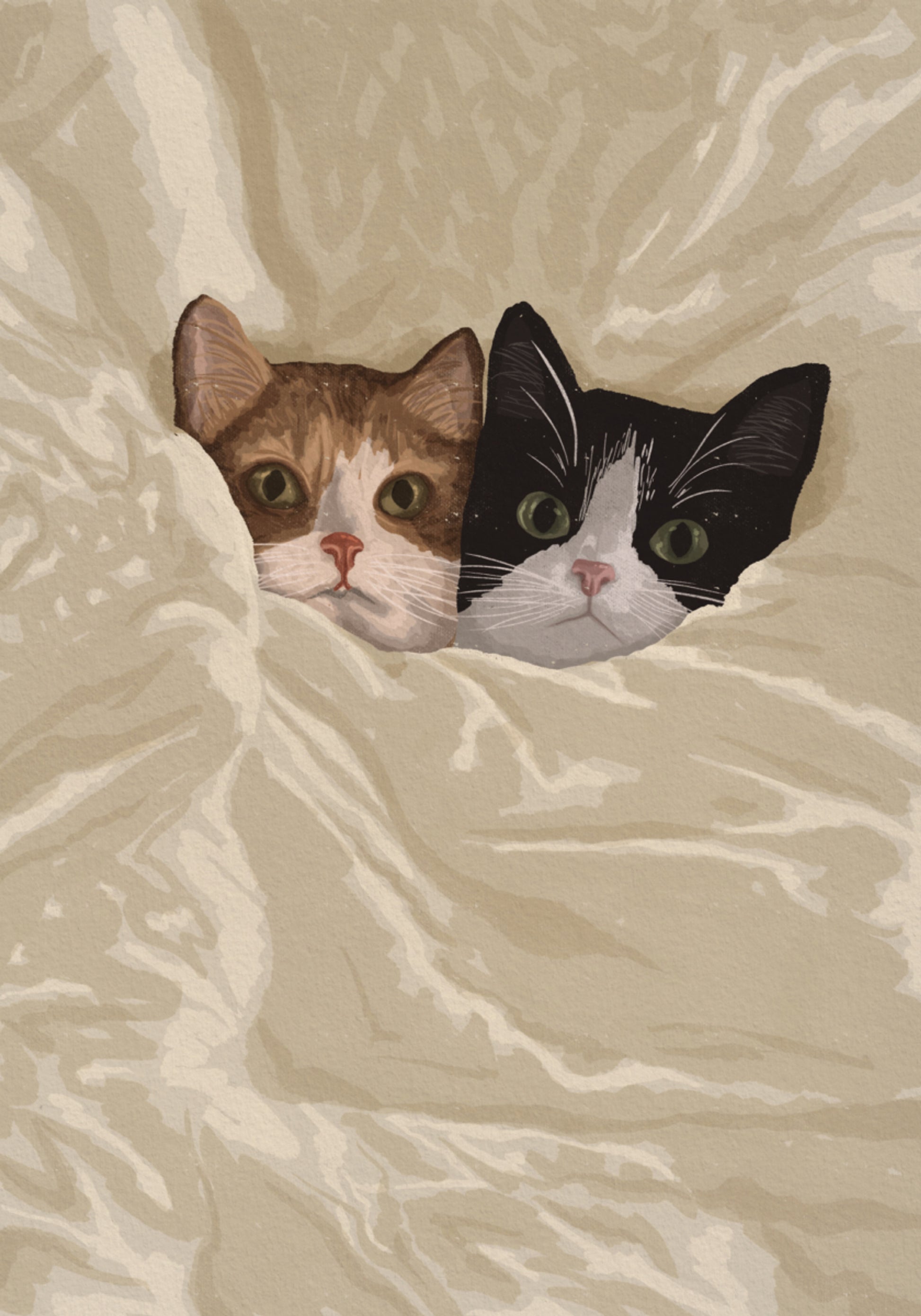 Gemütliche Katzen, die herausschauen