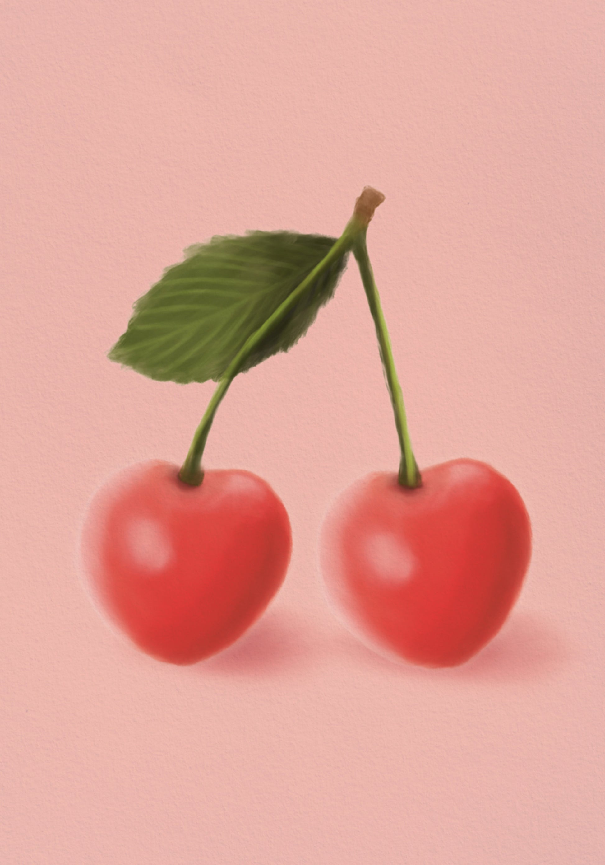 Süßes Kirsch-Duo