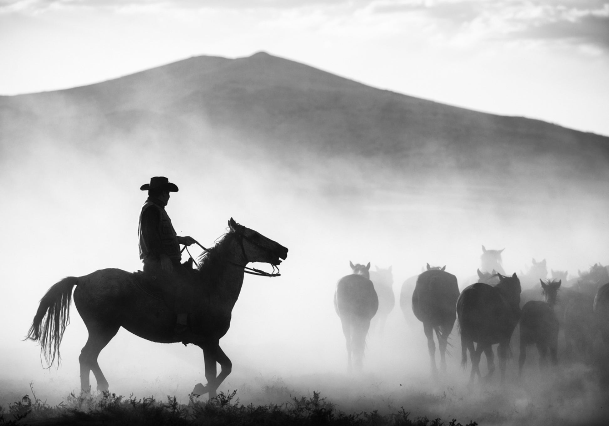 Cowboy, der Pferde hütet