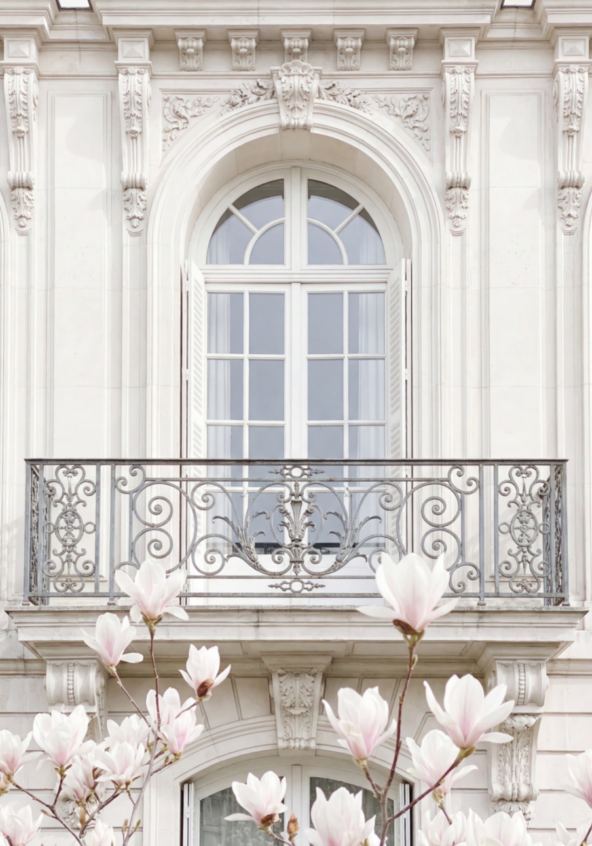 Weiße Fassadenmagnolien