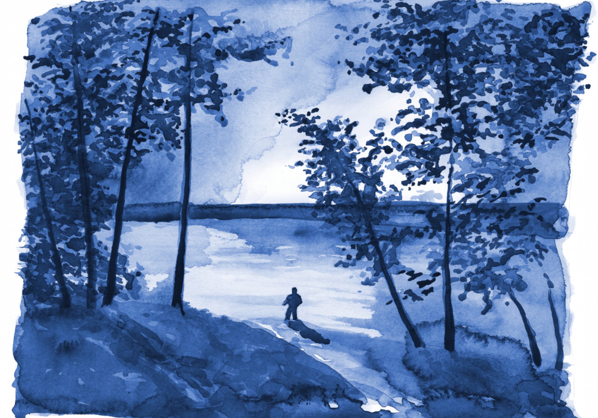 Blue Forest Lake Einsamkeit