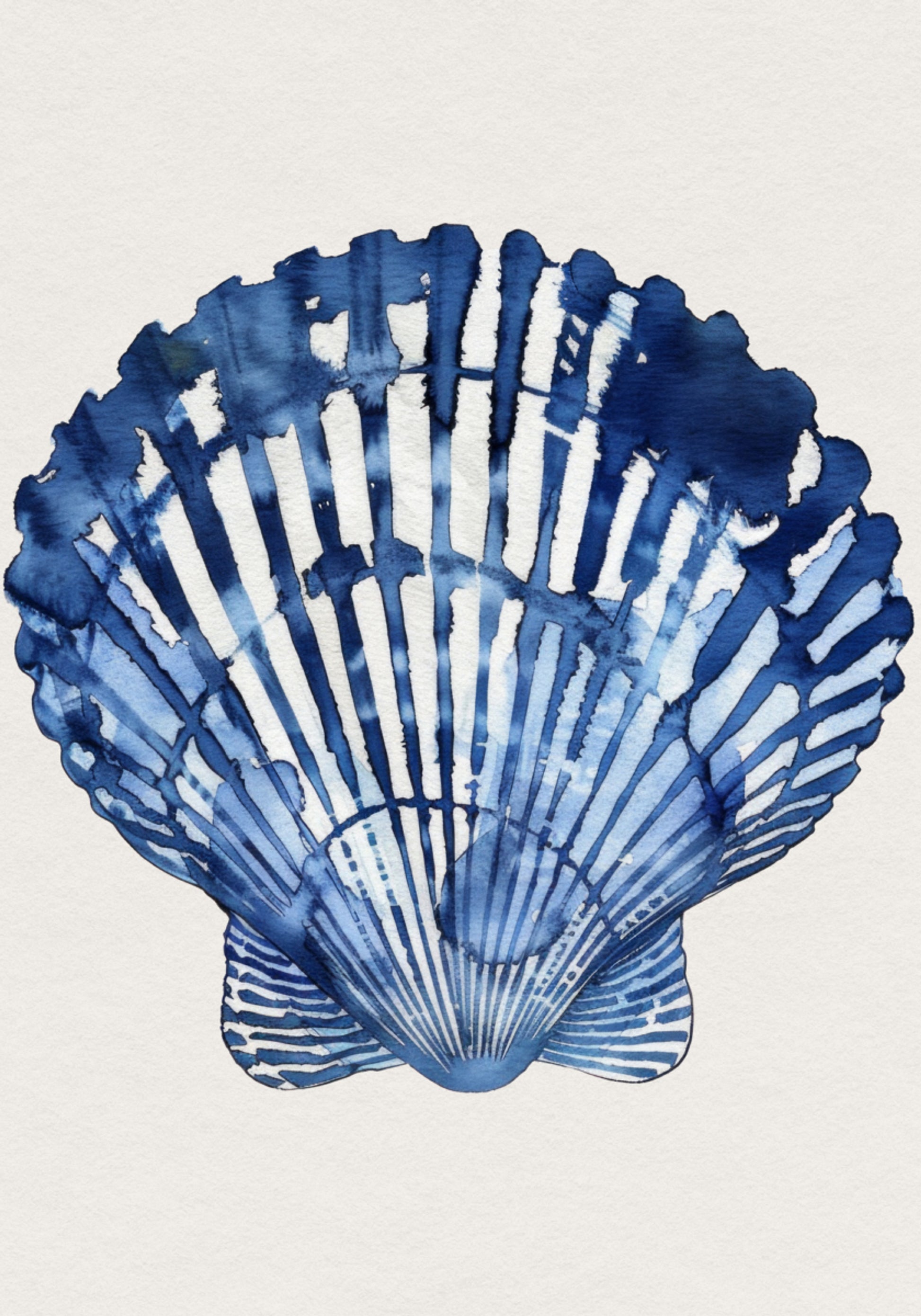 Indigo-Muschel