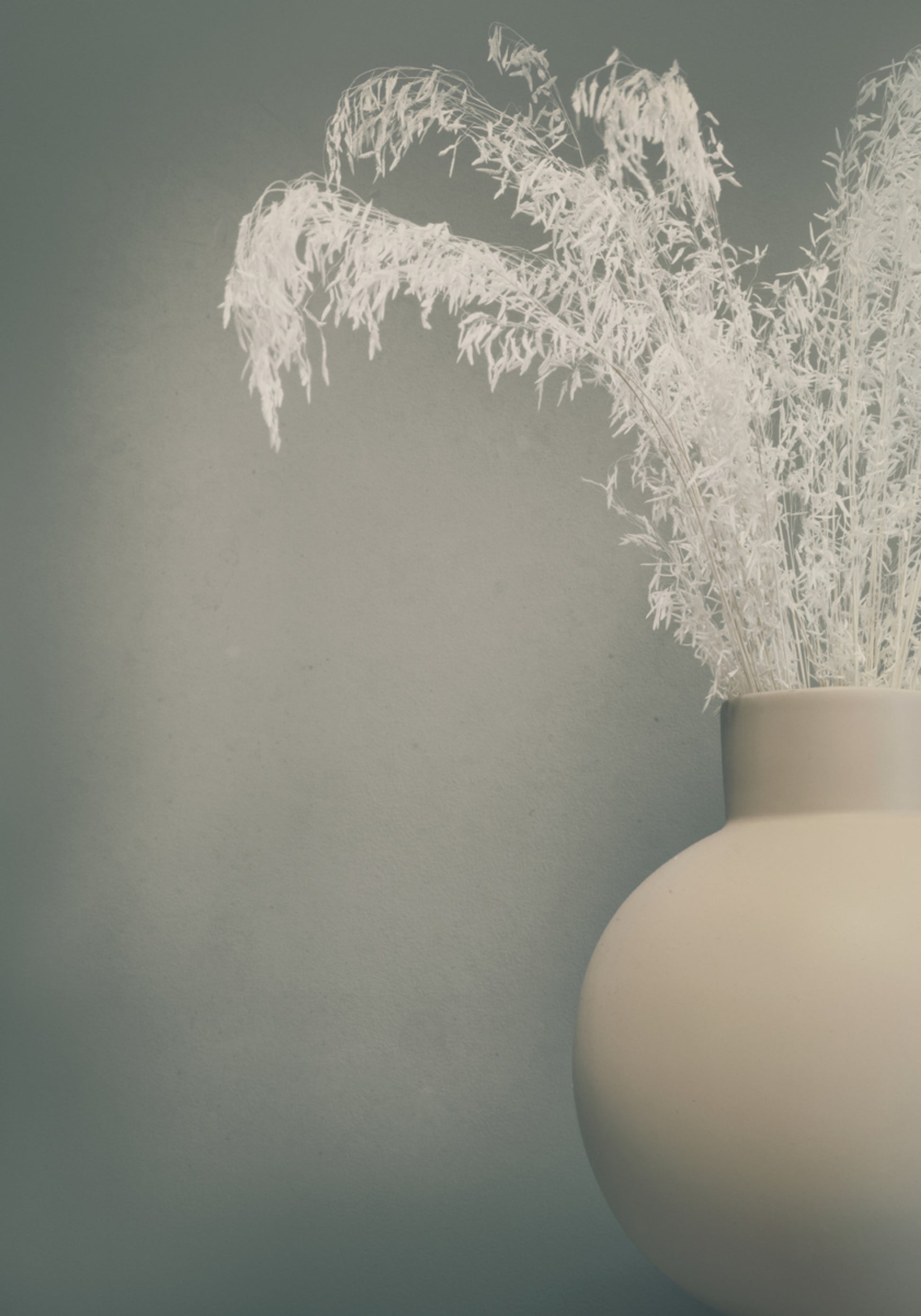 Ruhige getrocknete botanische Vase