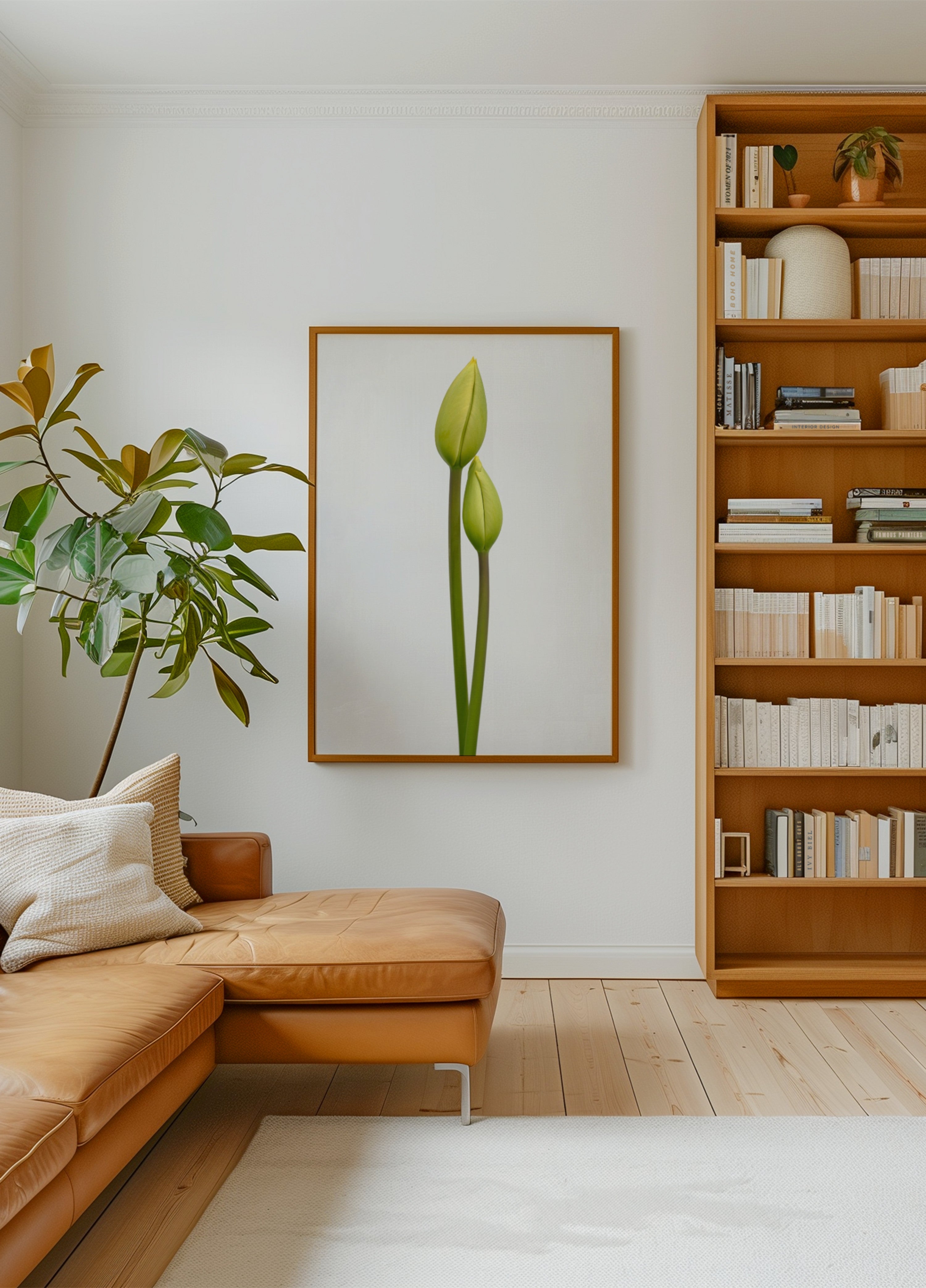 Grüne Tulpenknospen