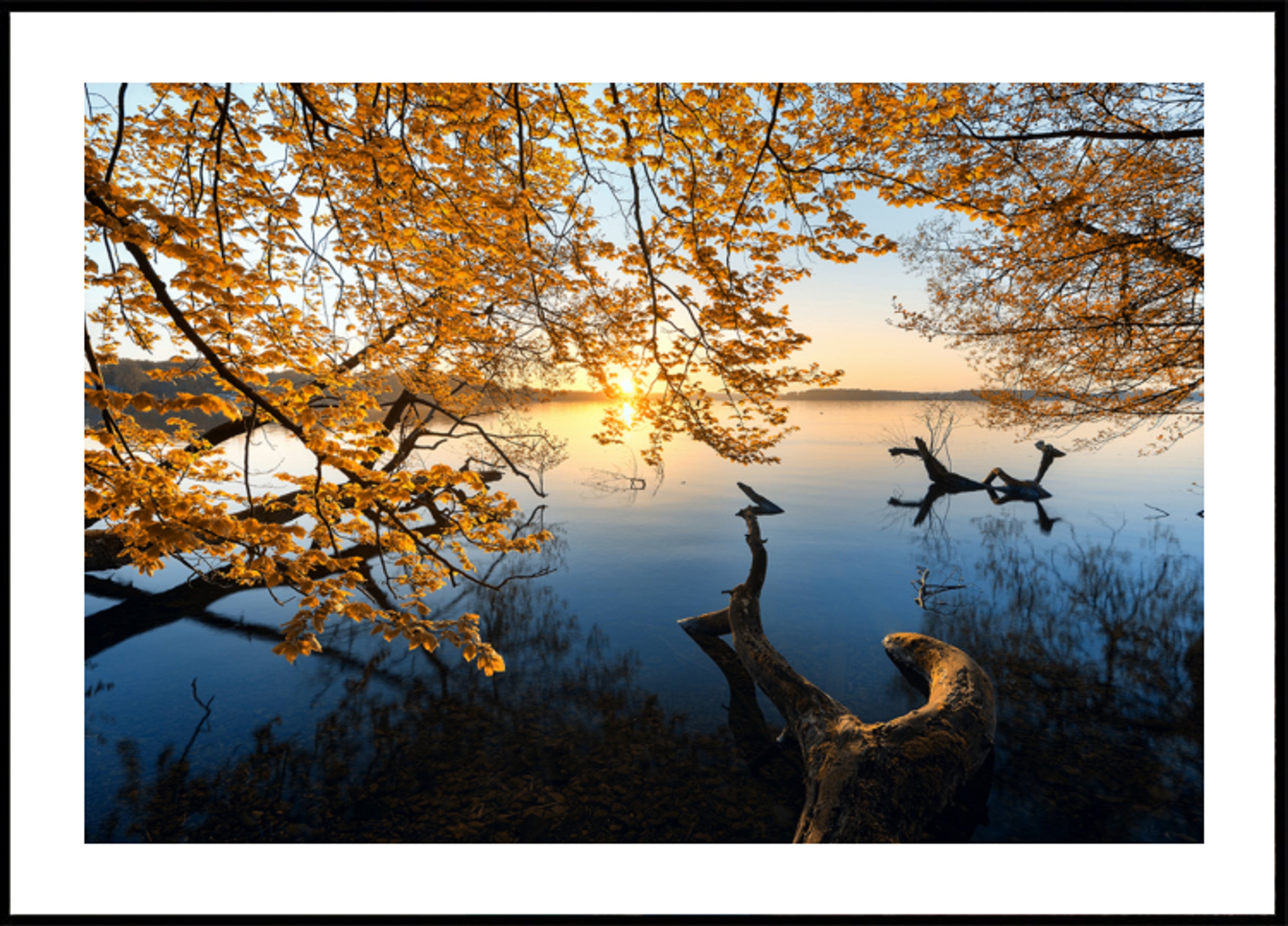 Goldener Herbstsee-Sonnenaufgang