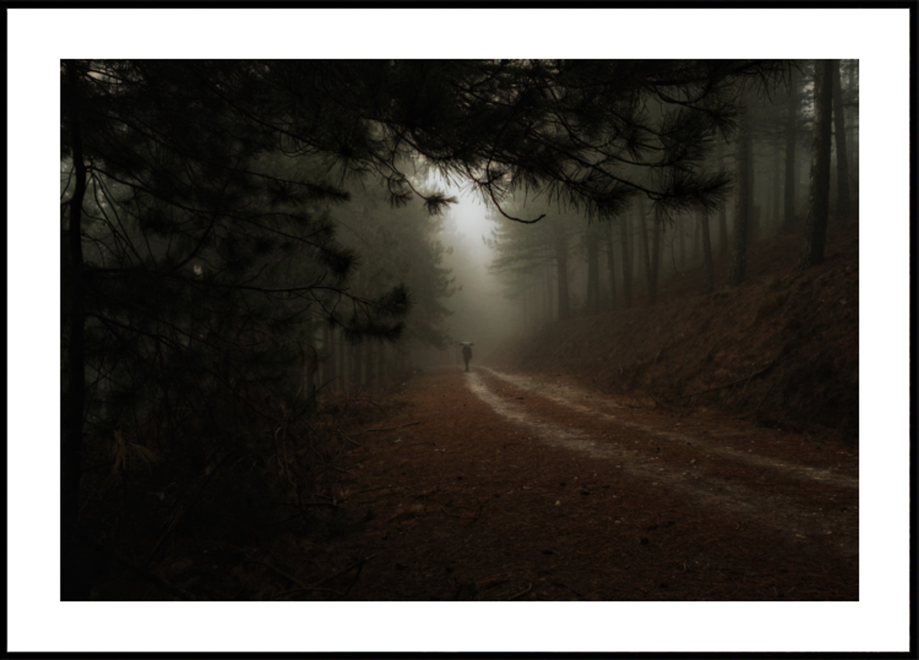 Nebliger Waldweg