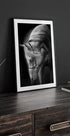 white stallion Plakat - Posterbox