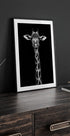 Giraffe Portrait Plakat - Posterbox