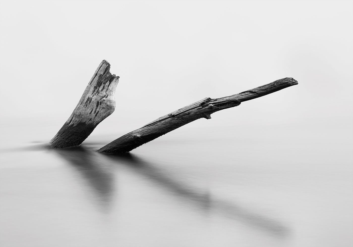 Poster „Log In The Water“ aus Holz - Posterbox.dk