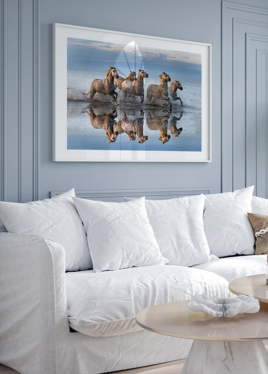 Horses and reflection - Posterbox