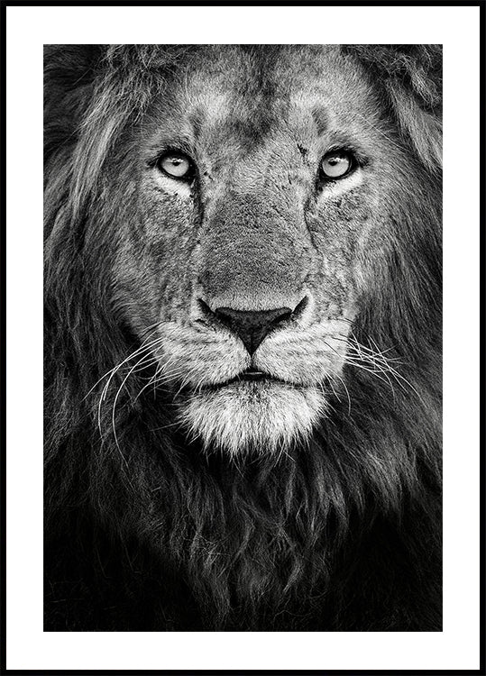 Royal portrait Plakat - Posterbox