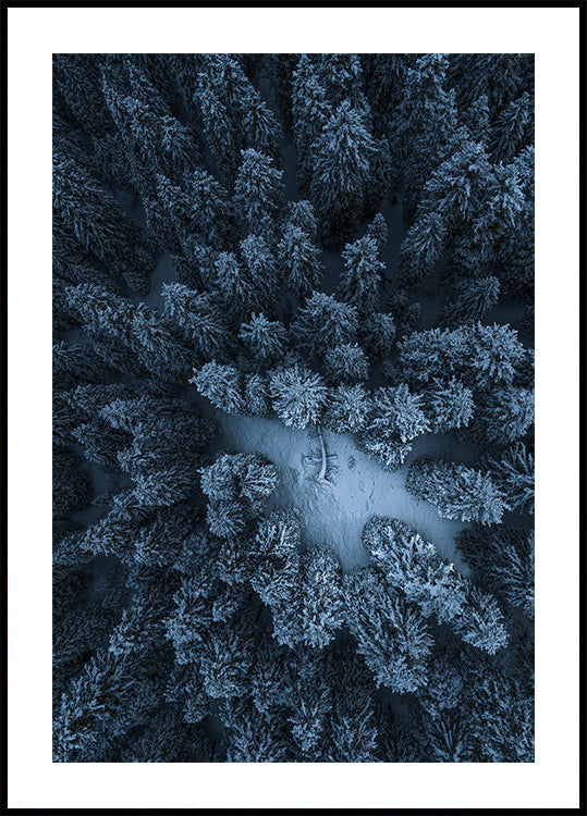 Texture of the forest Plakat - Posterbox