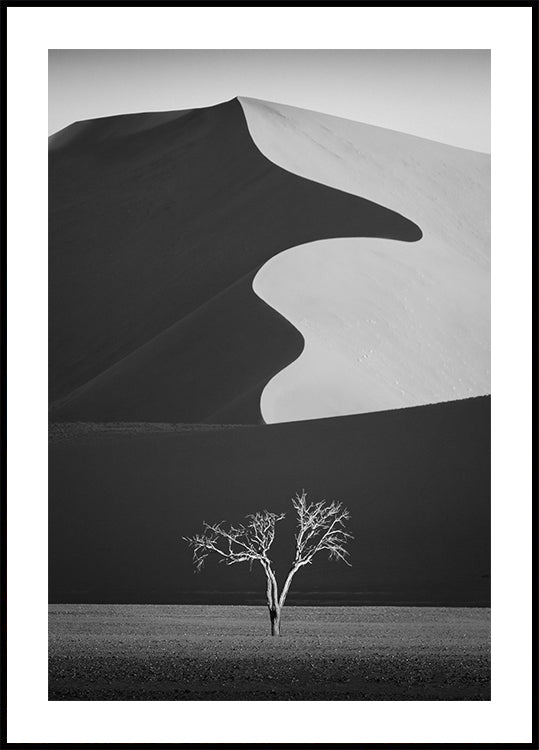 Light & shadow (NEW) - Posterbox